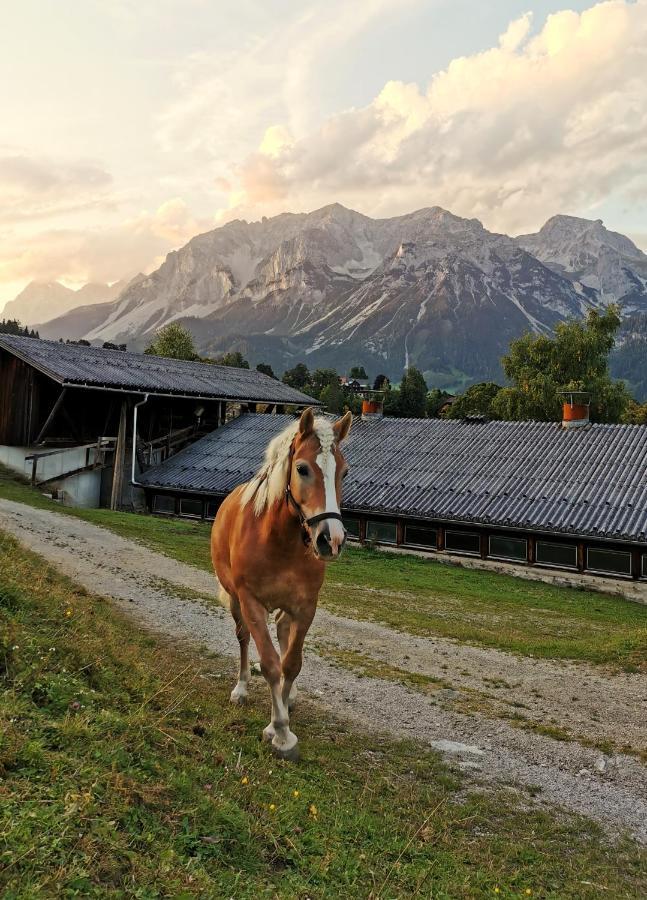 Burglehnerhof Aparthotel Ramsau am Dachstein Exterior photo